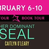 Excerpt ~ Her Dominant SEAL (Midnight Delta Book 9) by Caitlyn O’Leary